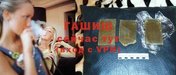шишки Магас